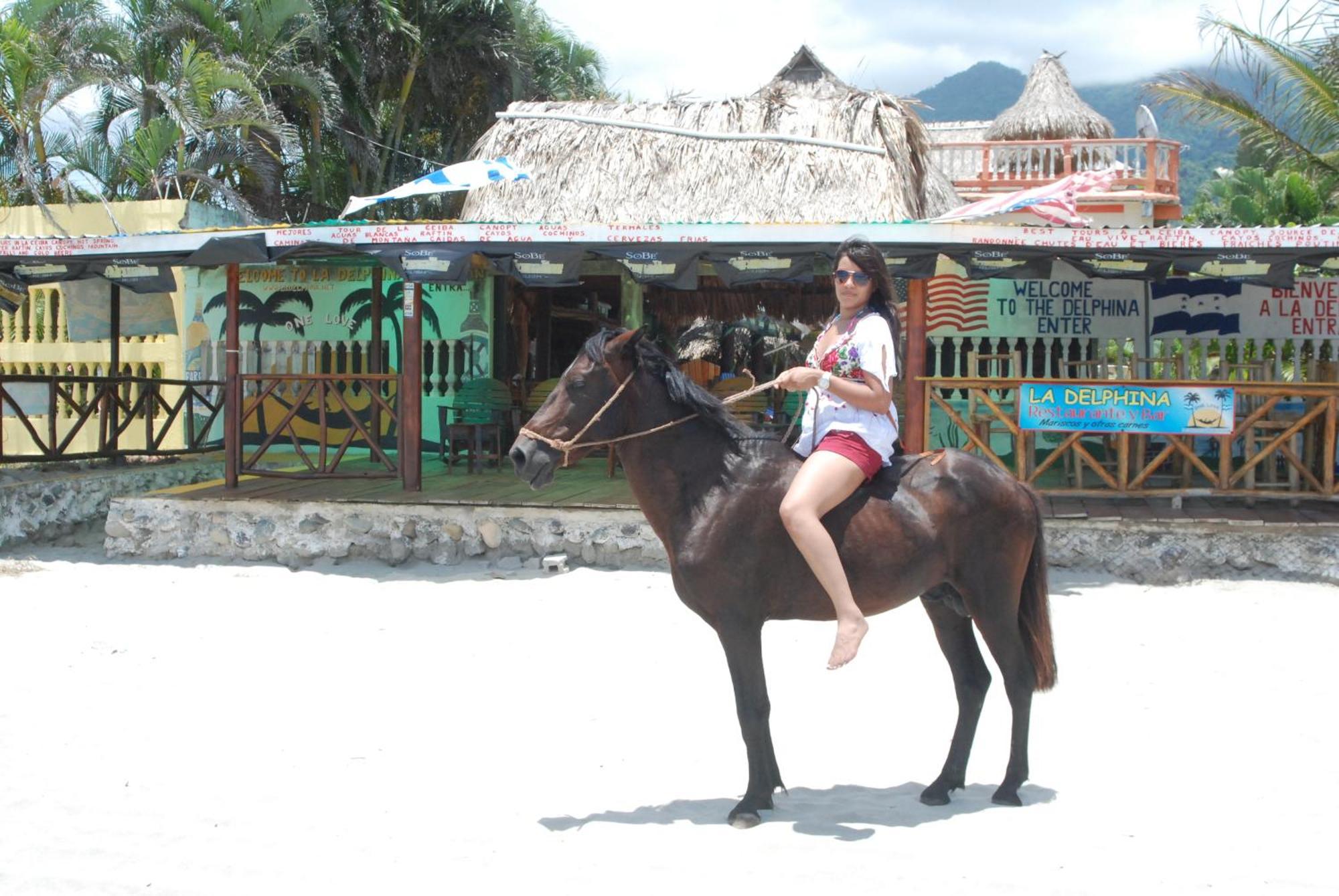 La Delphina Bed&Breakfast Bar&Grill La Ceiba Exterior foto